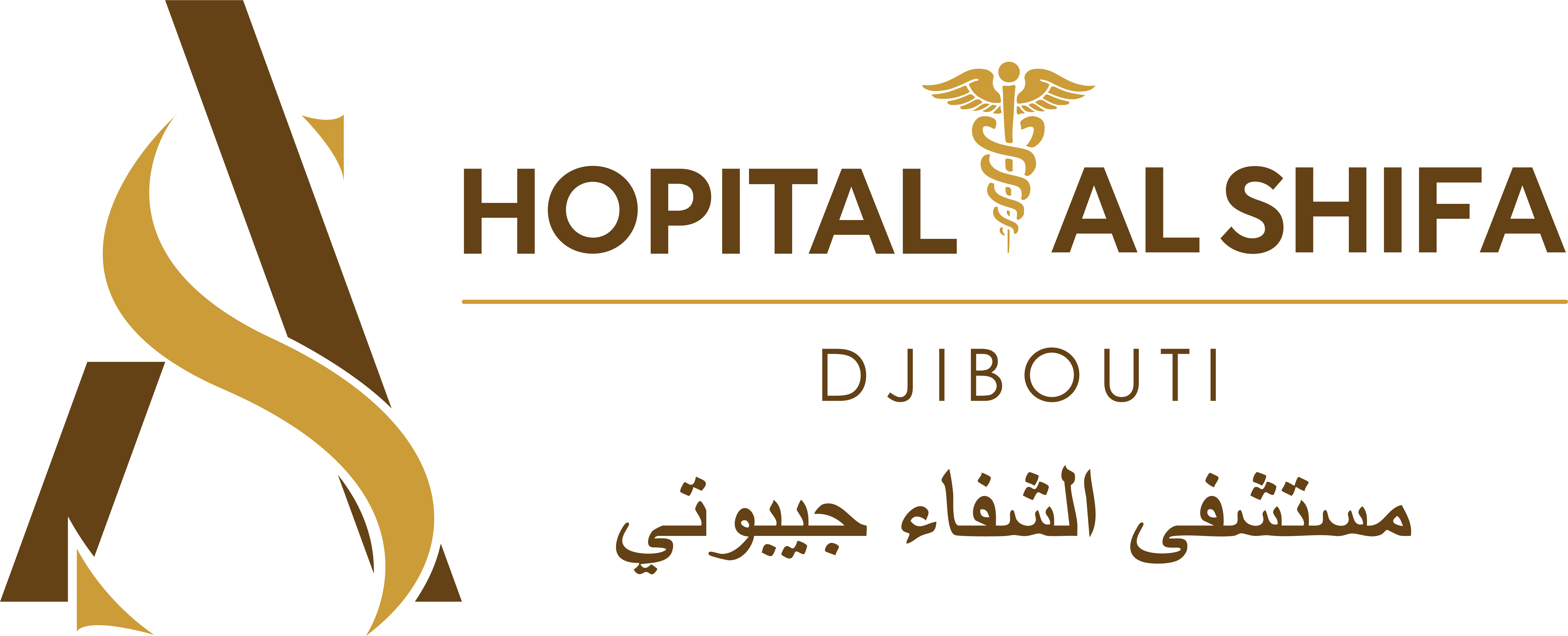 Hôpital Al Shifa